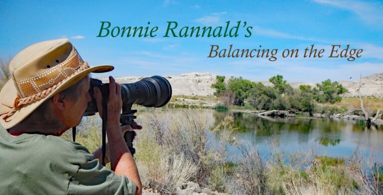 Photographic expressions 768x391