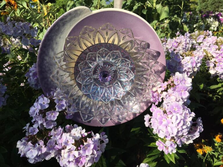 117112535 350284136372369 7494279357738046940 n 1 768x576