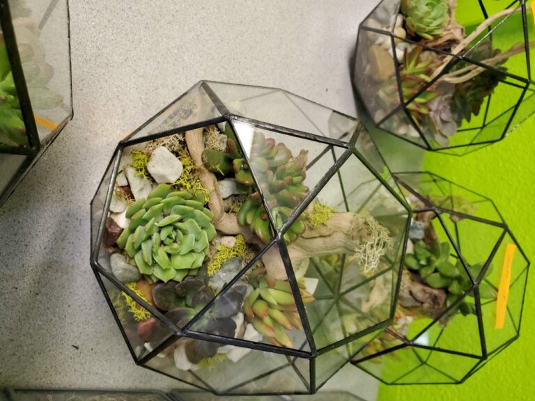 Octopus Garden 768x576