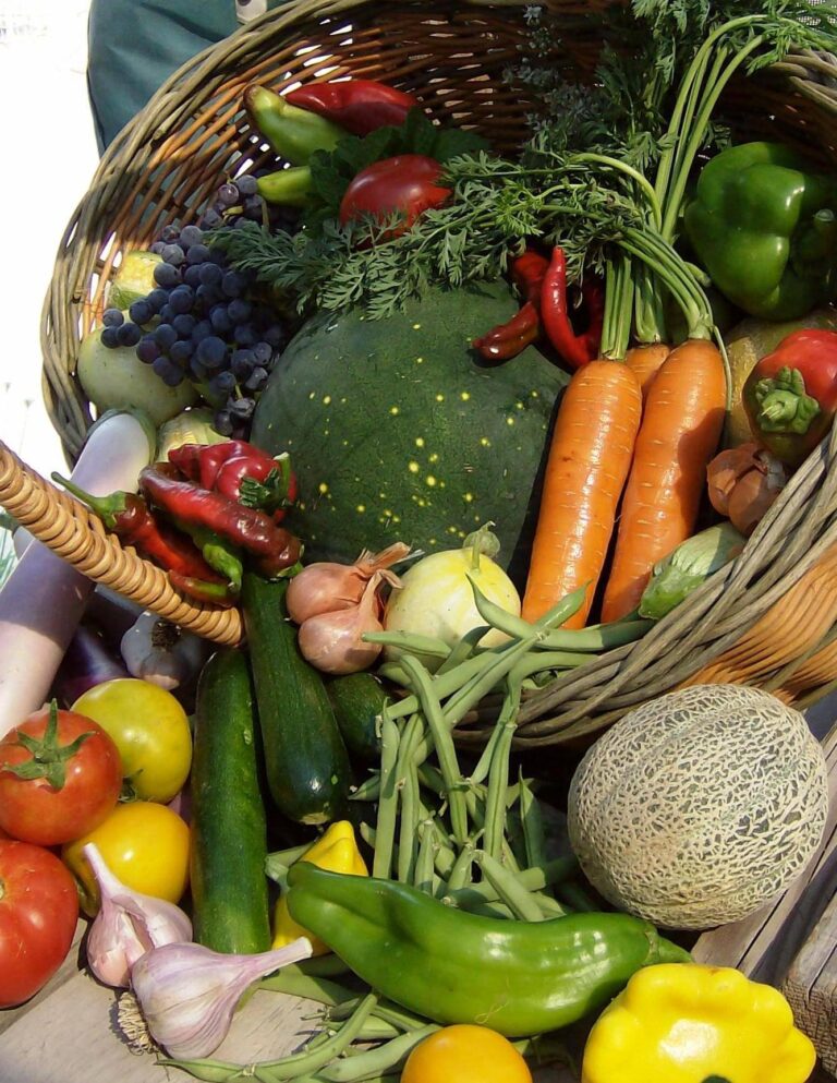 Custom Gardens Organic Farm 4 768x993