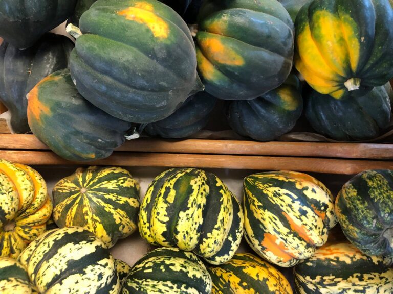 Lattin Farms 3 768x576