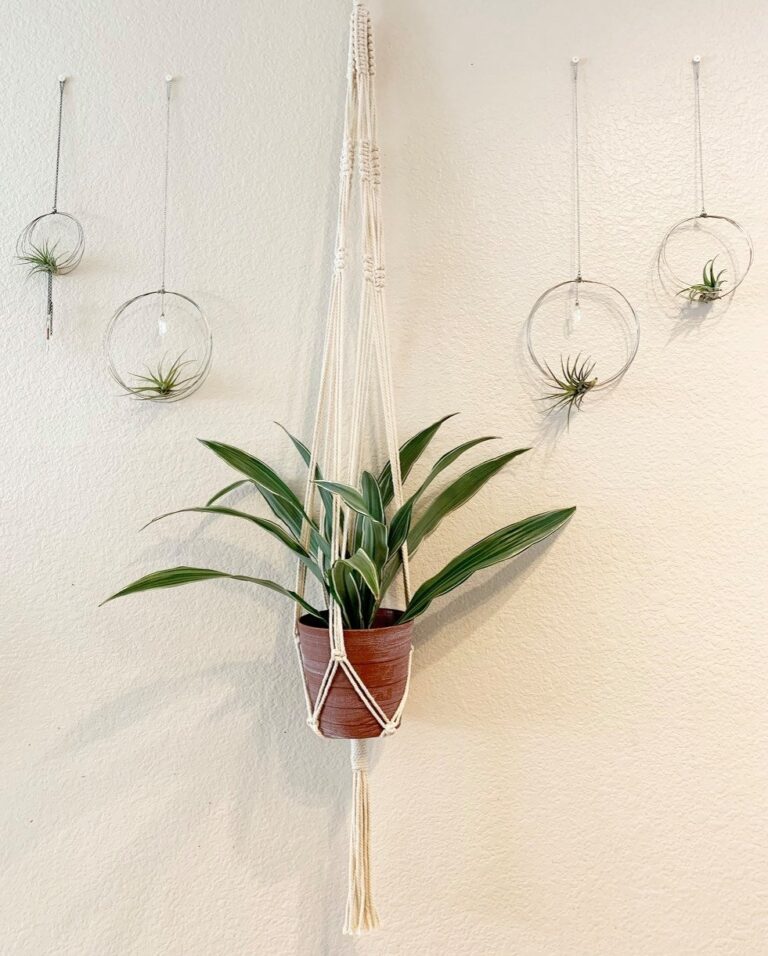 Mai Boho Life 1 768x956