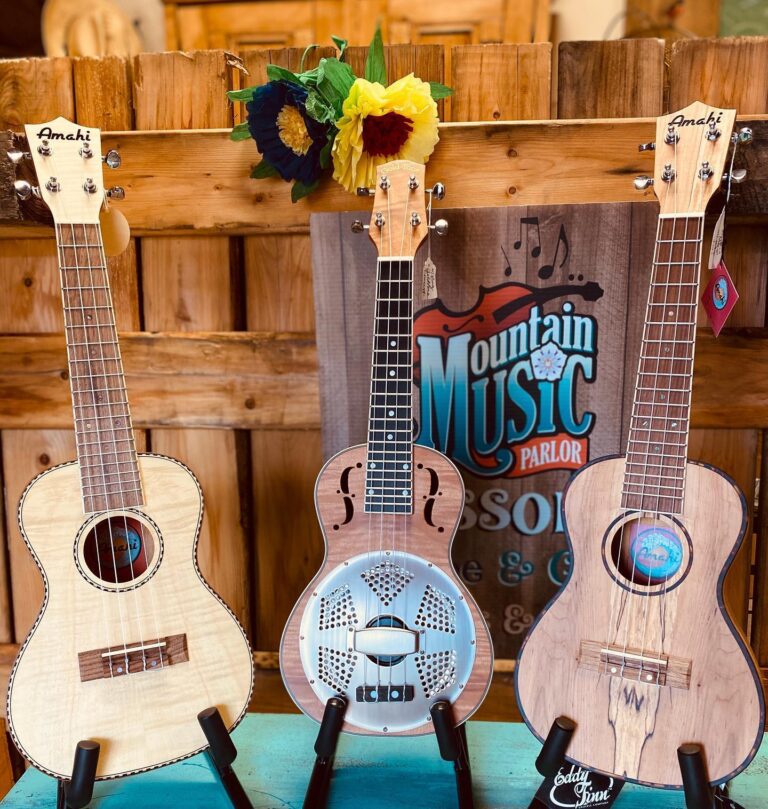 Mountain Music Parlor 3 768x809