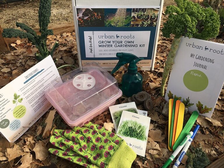 Urban Roots 2 768x576