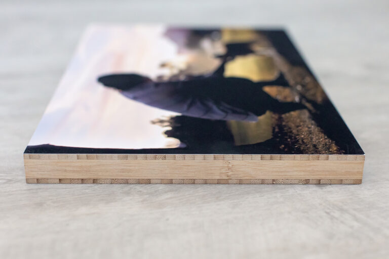 Bamboo Prints 02 768x512