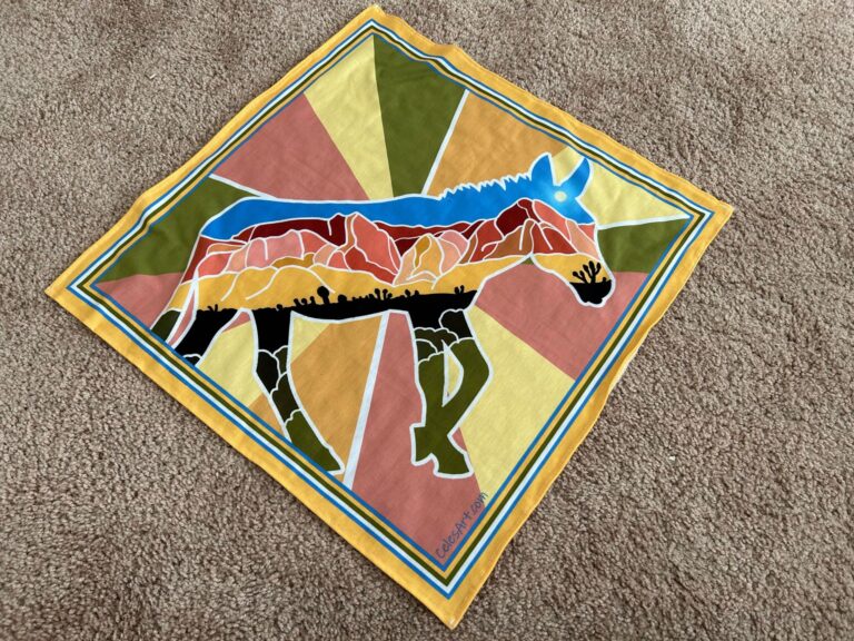 Burro Bandana 768x576