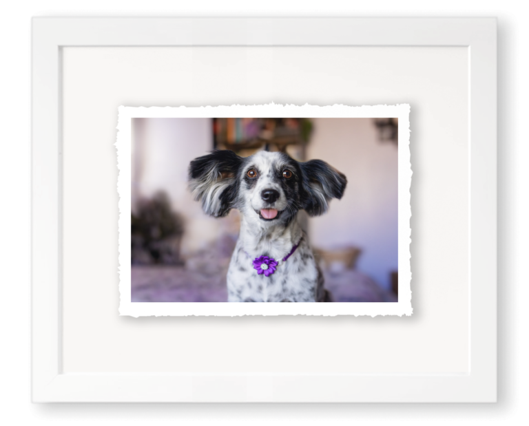 Float Frames 01 768x619