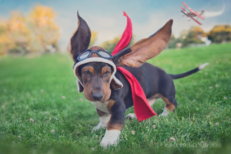 Imagination Creation 02 768x512