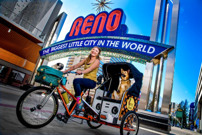 346065008 955781462237666 287904609832839101 n 768x513