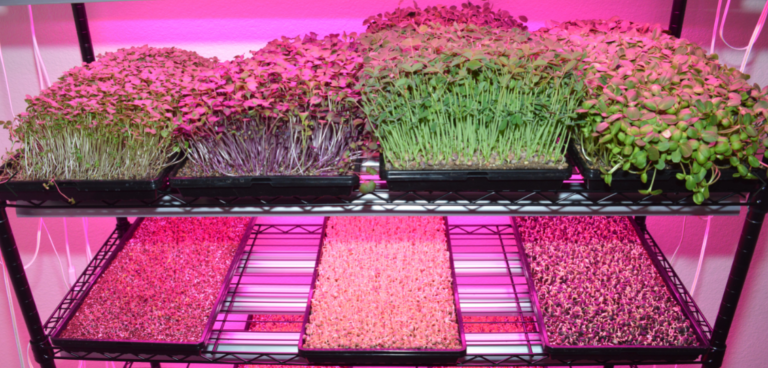 Annotation 2023 08 07 120244 768x368