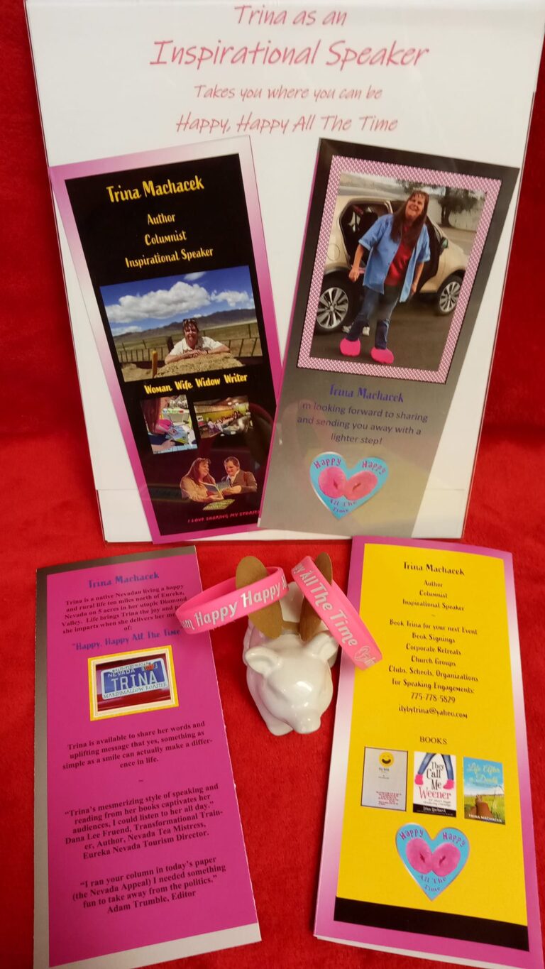 323422472 1540264723126430 1565882178920838200 n 768x1365