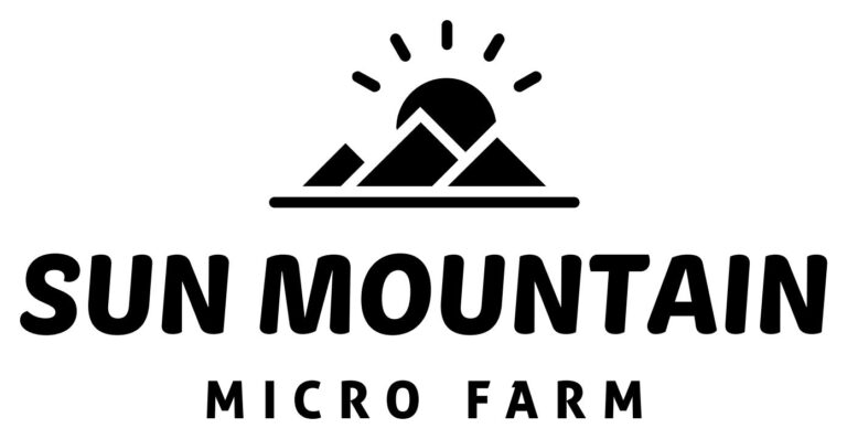 thumbnail IMG 1753 768x398