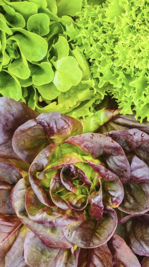 332541806 1899818457036379 6159732091202700660 n 1