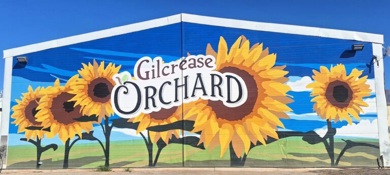 Barn Picture Sunny 768x344