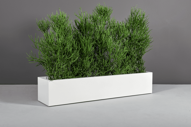 69025.60.MBW .Cuba .wplants.lo 1 768x513
