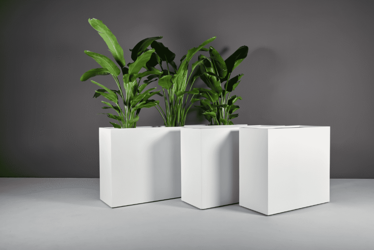 69345.Set .MBW .Potsdam.wplants1 768x513