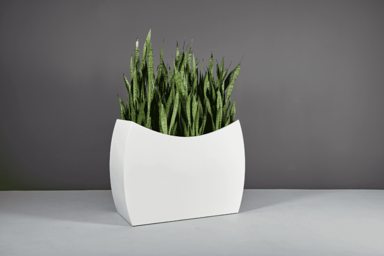 69370.48.MBW .Seoul .wplants1 768x513