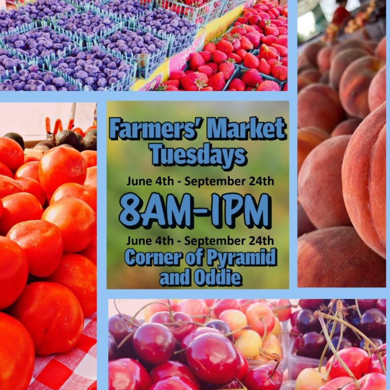 Sparks Methodist Farmers Market 768x768
